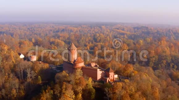 美丽的鸟瞰金色秋天在锡古尔达拉脱维亚视频的预览图
