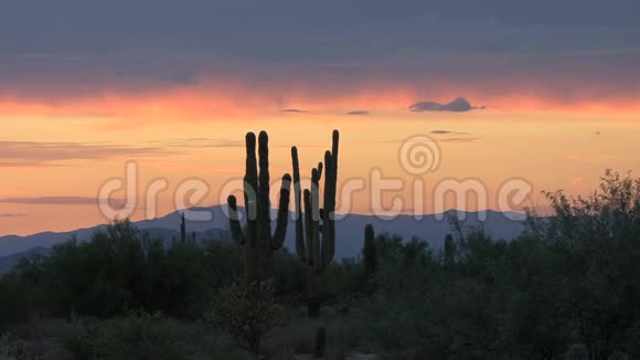 亚利桑那沙漠日落视频的预览图