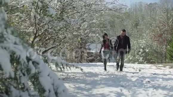 人们季节爱情和休闲的概念幸福的夫妇走过冬天的背景视频的预览图