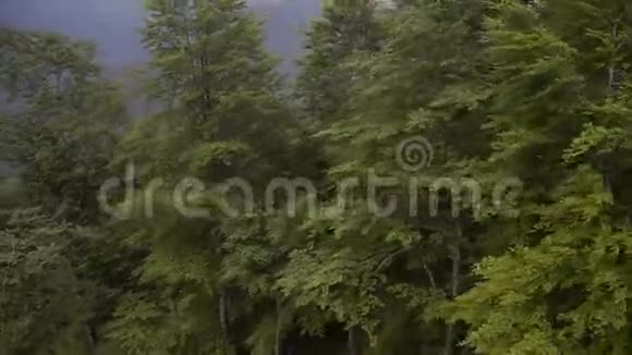 夏季美丽山林鸟瞰图视频的预览图
