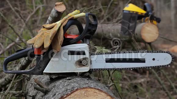 伐木工人拿电锯视频的预览图