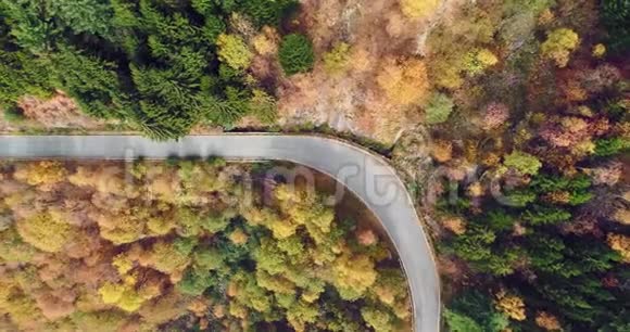 高空俯视道路在五彩缤纷的乡村秋林秋天的橙色绿色黄色的红色树林视频的预览图