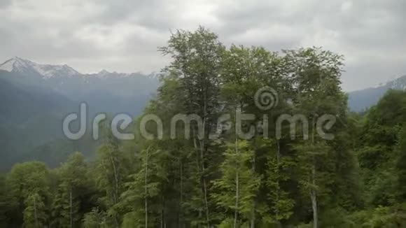 鸟瞰美丽的山和美丽的森林视频的预览图