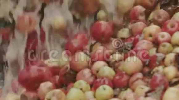 工业果汁厂新鲜水果经过传送带视频的预览图