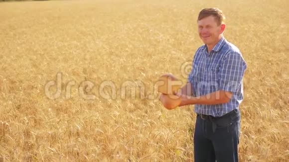 老农面包师在成熟的麦田生活方式中拿着一个金色的面包和面包慢动作视频收获时间老了视频的预览图
