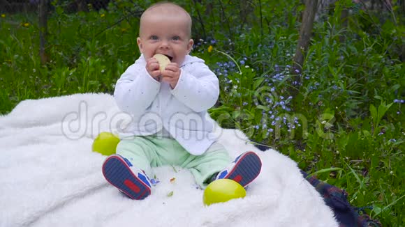 婴儿坐在草地上吃大苹果视频的预览图