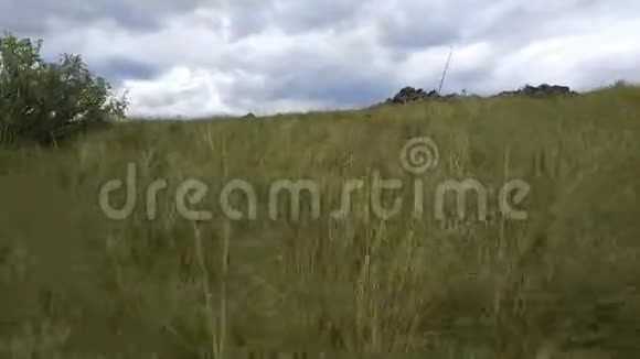 库雷草原和北水岭视频的预览图