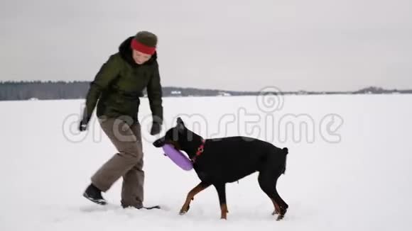 在雪地里训练和玩狗视频的预览图