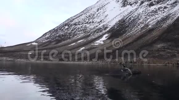 斯瓦尔巴河的死鲸视频的预览图