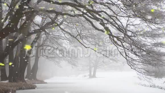 婀娜多姿地用雪拱起冬树视频的预览图