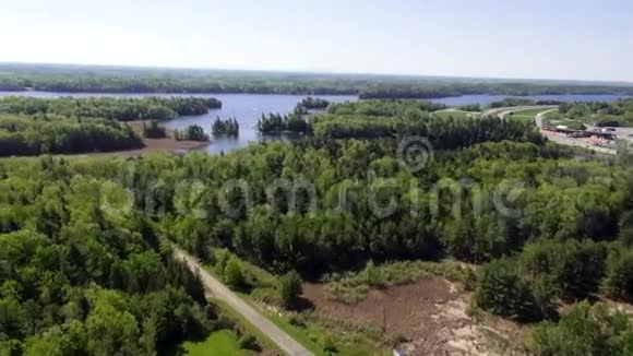 森林森林树木河流自然自然视频的预览图