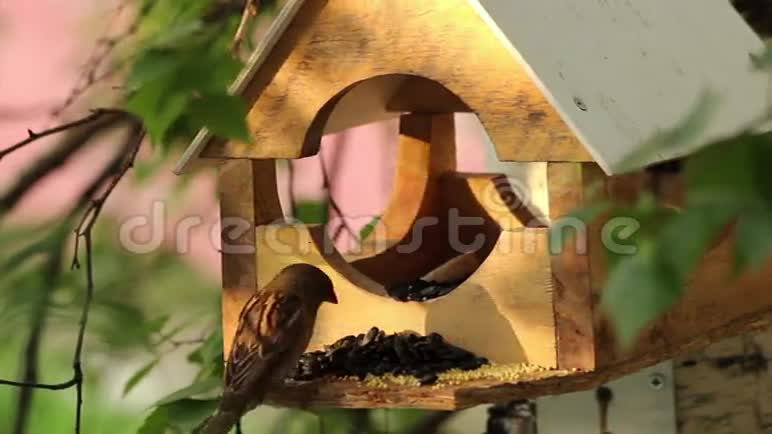 一种木制的喂鸟器视频的预览图
