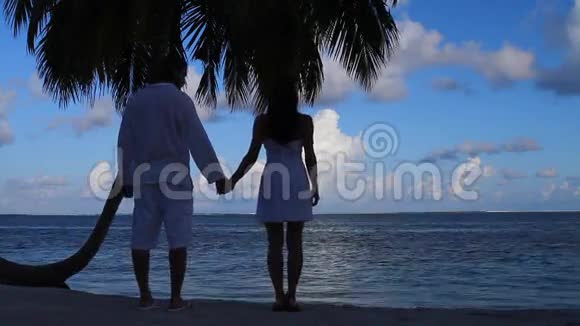 一对浪漫的情侣站在棕榈树旁边视频的预览图