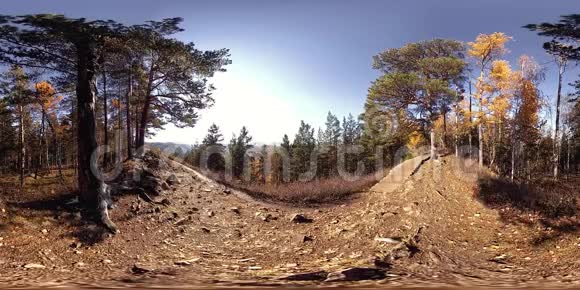 4K360VR虚拟现实的一个美丽的山景在秋天的时候狂野的俄罗斯山脉和游客视频的预览图