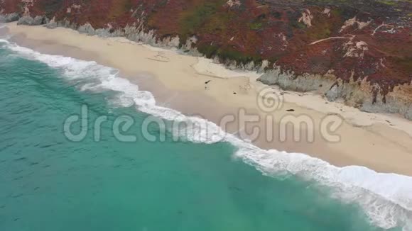 加州北部的海景和风景海滩视频的预览图