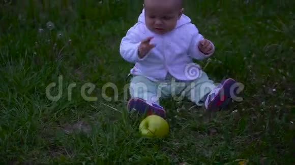 婴儿坐在草地上吃大苹果视频的预览图