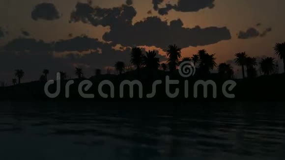 日落和棕榈在海洋视频的预览图