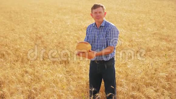老农夫面包师拿着一个金色的面包和面包在成熟的麦田慢动作视频收获时间旧生活方式视频的预览图