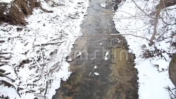 冰水在一条快速的泉水小溪里流淌清水中的树木视频的预览图