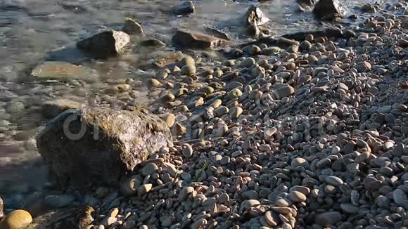 比拉约萨洛基海滩视频的预览图