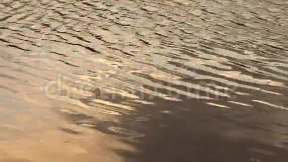 涟漪水面视频的预览图