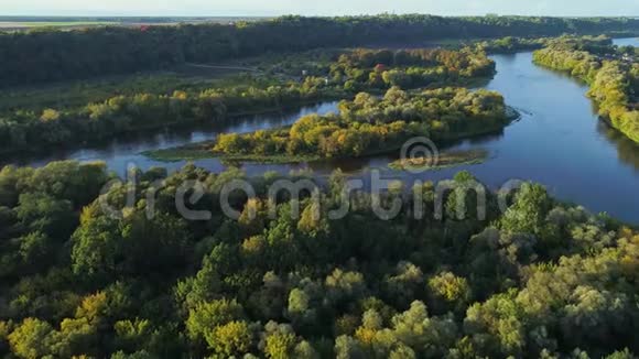 飞越河流和森林视频的预览图