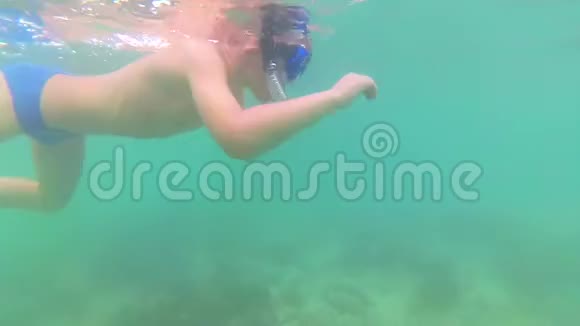 幼儿用鱼在海里洗澡戴面具潜水热带岛屿视频的预览图