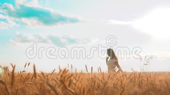 女孩正沿着麦田漫步自然慢生活方式运动视频穿着白色裙子跑大自然的美丽女孩视频的预览图