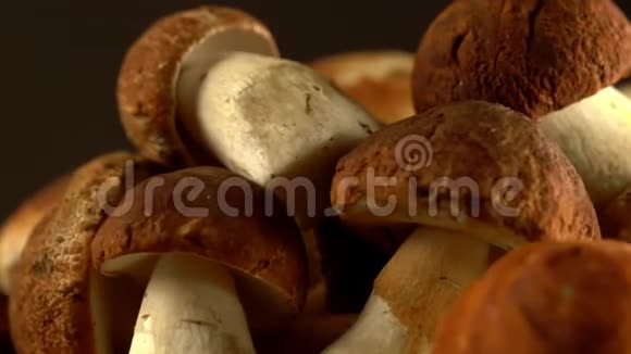 森林蘑菇囚犯天然产物4K轮替视频的预览图
