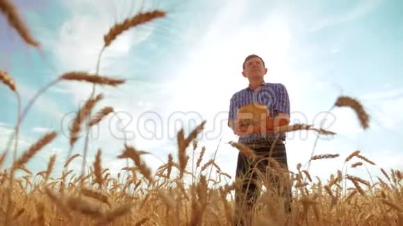 老农夫剪影面包师拿着一个金色的面包和面包在成熟的麦田里对着蓝天慢动作视频的预览图