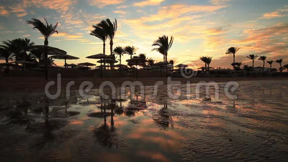 夕阳反射在沙滩上的水中埃及视频的预览图