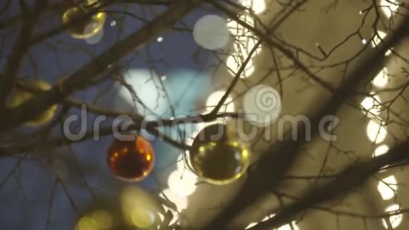 美丽的圣诞气氛视频的预览图