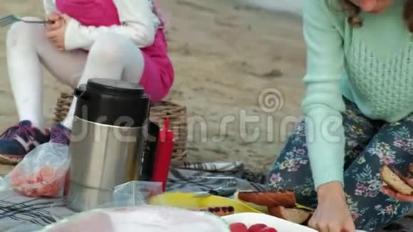 母亲和女儿在海滩上的烧烤上煎肉和蔬菜视频的预览图