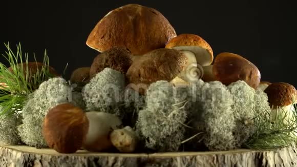 森林蘑菇囚犯天然产物太美妙了轮换4K视频的预览图