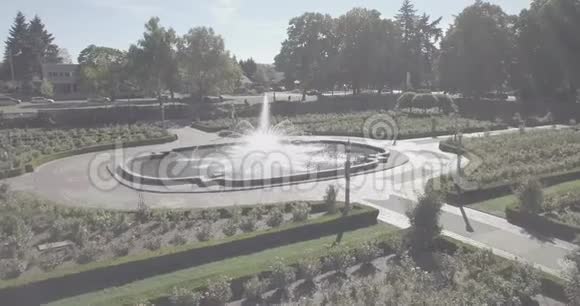 半岛公园游憩玫瑰园视频的预览图