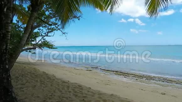 加勒比海滩视频的预览图
