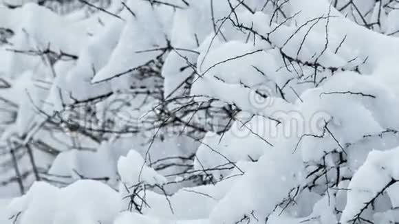 下雪的冬天视频的预览图