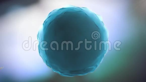 受精细胞人类视频的预览图
