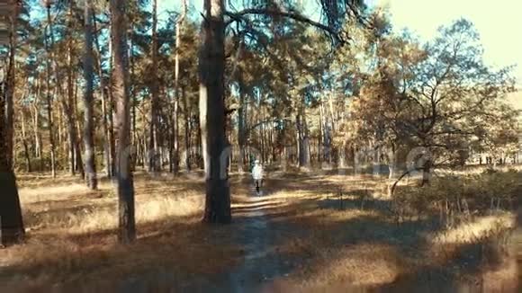 早上在森林里奔跑的女孩体育运动视频的预览图
