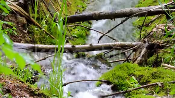 美丽的山溪瀑布河流淌在绿色的夏林中视频的预览图