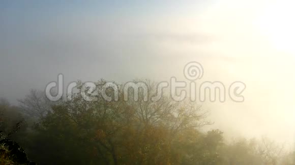 壮丽的重雾在景观中秋天雾化的日出在乡村山因雾而增加雾被染成橙色视频的预览图