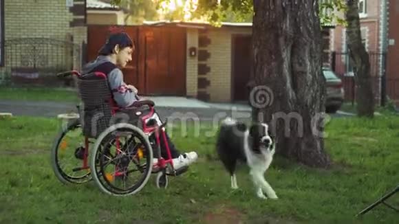 残疾人与狗玩耍犬炎治疗通过与狗训练残疾治疗人在视频的预览图
