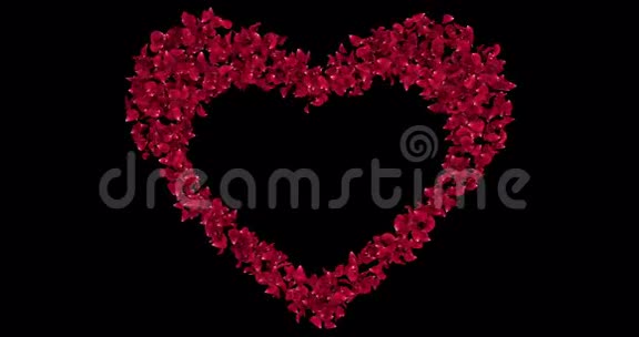 红玫瑰花花瓣心形阿尔法Matte占位环4k视频的预览图