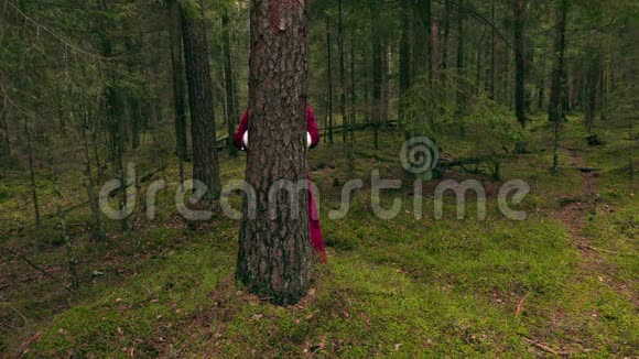 圣诞老人躲在树林里的树后面视频的预览图
