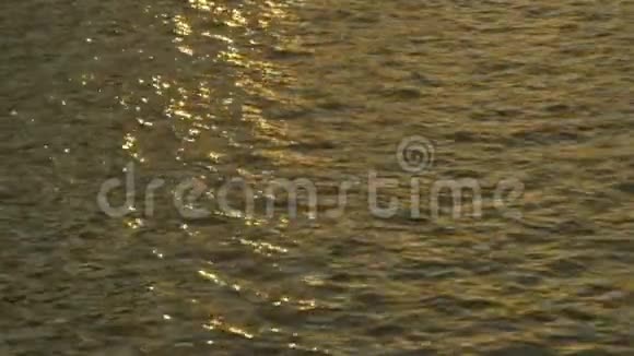 夕阳在水中的倒影视频的预览图