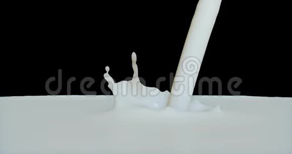 牛奶溅在黑色背景上视频的预览图