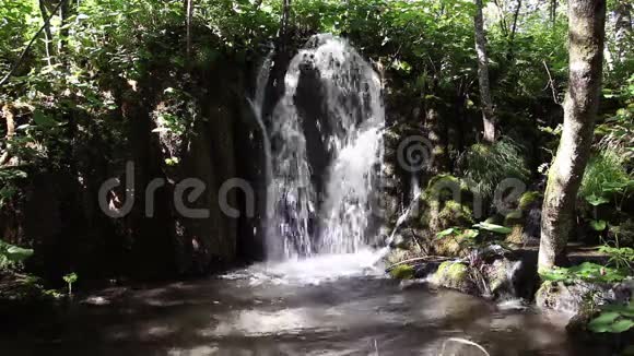 森林里的小瀑布视频的预览图