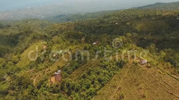 印度尼西亚巴厘河谷和村庄的山景视频的预览图