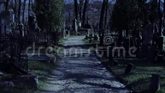 晚上在老公墓散步视频的预览图