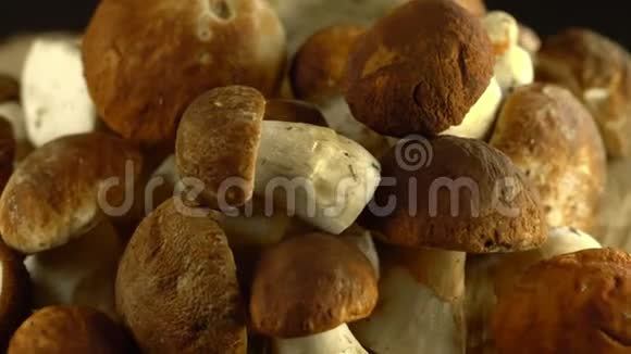 森林蘑菇囚犯天然产物4K轮替视频的预览图